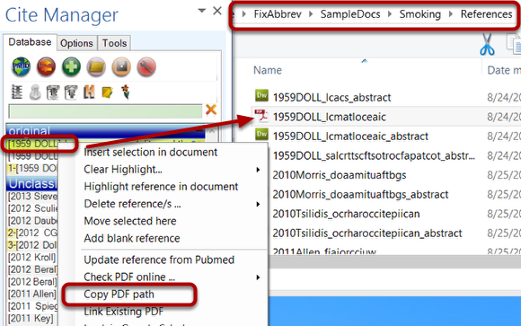 Copy pdf path